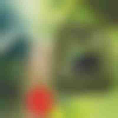 Duș Solar de Camping cu Termometru Încorporat (20L) | SHOWDY