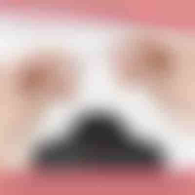 Închizătoare magnetică pentru colier (12 buc) | MAGILINK