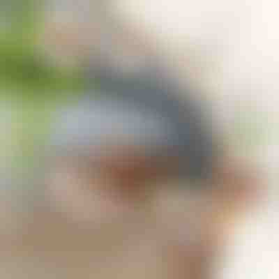 Jucărie interactivă tip pasăre, cu mișcare a aripilor | CHIRRCAT