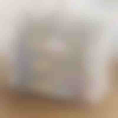 Cutie transparentă pentru pantofi | DURASTOR